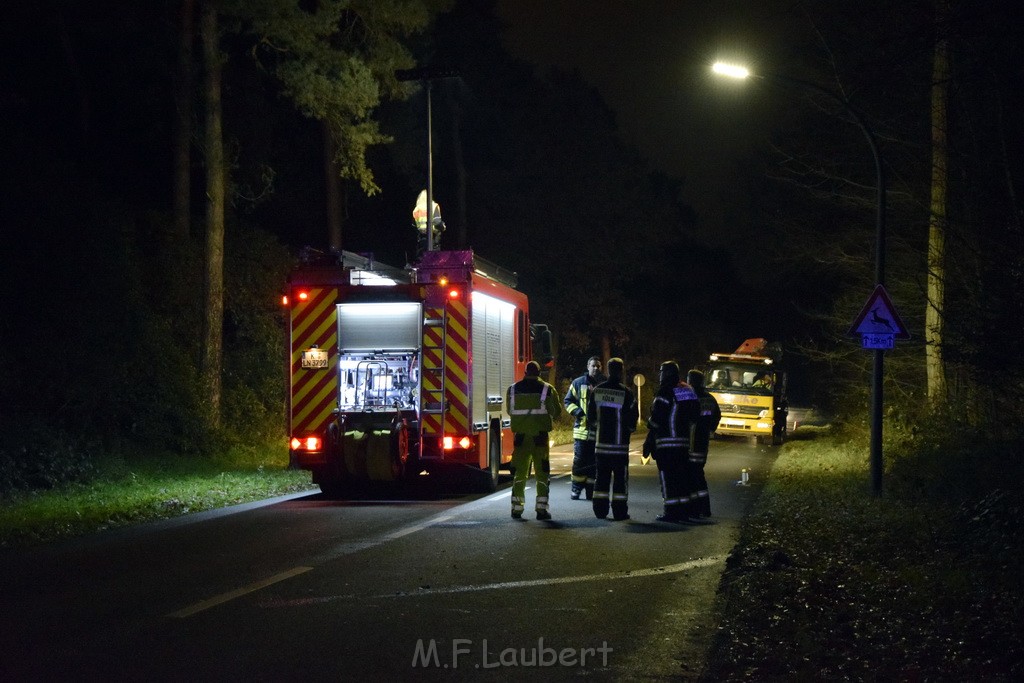 VU Koeln Dellbrueck Kalkweg Duennwalder Mauspfad P20.JPG - Miklos Laubert